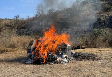 FGR incinera casi media tonelada de narcóticos asegurados en diferentes operativos en Guanajuato.