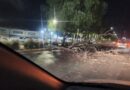 Fuertes ráfagas de viento dejan árboles caídos y otras incidencias en León.