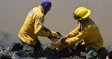 Autoridades de Guanajuato exhortan a la población a no nadar en cuerpos de agua no habilitados para recreación.