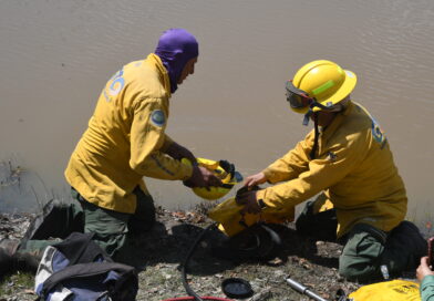 Autoridades de Guanajuato exhortan a la población a no nadar en cuerpos de agua no habilitados para recreación.