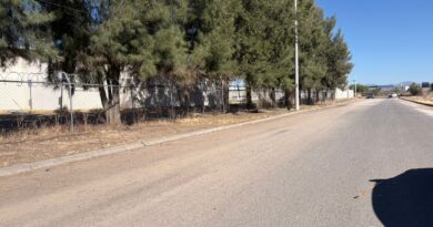 Retiran más de 20 toneladas de basura del camino a la colonia Villas de Guadalupe en Silao.