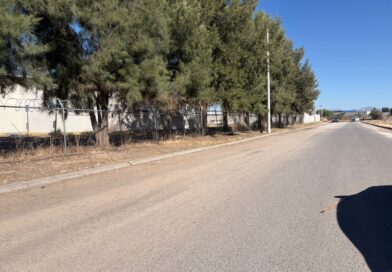 Retiran más de 20 toneladas de basura del camino a la colonia Villas de Guadalupe en Silao.