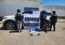 Seguridad estatal y federal aseguran mariguana en paqueterías de León e Irapuato.