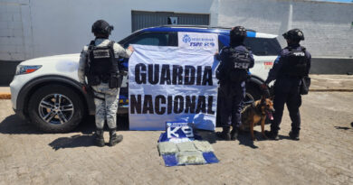 Seguridad estatal y federal aseguran mariguana en paqueterías de León e Irapuato.