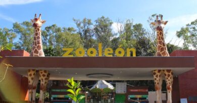 Por segunda ocasión Zoológico de León suspende actividades por observaciones de PROFEPA.