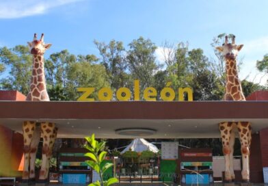 Por segunda ocasión Zoológico de León suspende actividades por observaciones de PROFEPA.