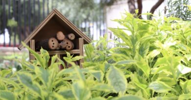 León mejora su biodiversidad urbana con la creación de nuevos espacios verdes y protección de especies nativas.