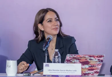 Libia Dennise anuncia creación de registro de personas violentadoras sexuales de menores.