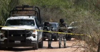 Encuentran 13 cuerpos en fosa clandestina de San Salvador Torrecillas en Villagrán.