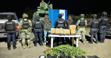 Detienen a dos sujetos con importante cargamento de drogas y armas en Silao.