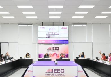 Aprueba IEEG modificación a estructura orgánica y organigrama del instituto.