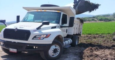 CONAGUA retira 5 mil mil metros cúbicos de lirio acuático de la Presa Ignacio Allende.