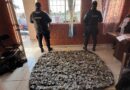Autoridades de seguridad estatales y federales desmantelan punto de venta de drogas en Silao.