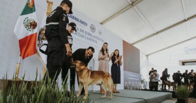 Encabeza gobernadora ceremonia de jubilación de 10 caninos por 7 años de servicio en la Secretaría de Seguridad.