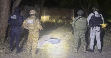 Desactiva FSPE y autoridades federales centro de almacenamiento de hidrocarburo en Cortazar.