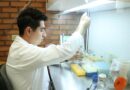 Destaca investigación de estudiante UG sobre alternativas terapéuticas frente a la resistencia bacteriana.