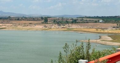 Descarta CONAGUA contaminación en la Presa La Purísima ante el hallazgo de peces muertos.