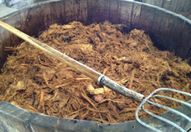 Investigadores de la UG logran transformar residuos de agave en materiales ópticos con valor tecnológico.