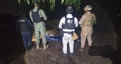 Aseguran autoridades estatales y federales centro de almacenamiento de hidrocarburo en Cortazar.  