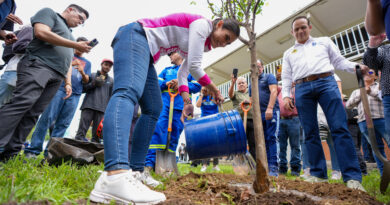 Rescatan 100 mil árboles y siembran otros 100 mil en la ciudad de León.