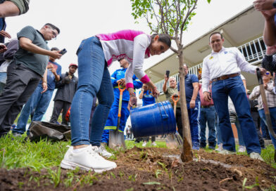 Rescatan 100 mil árboles y siembran otros 100 mil en la ciudad de León.