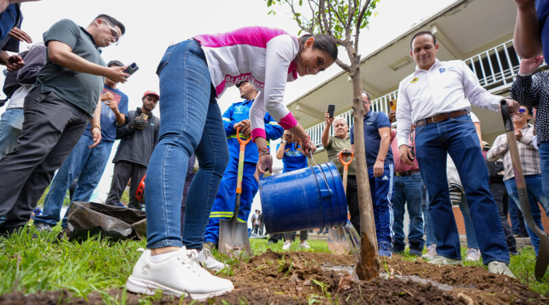 Rescatan 100 mil árboles y siembran otros 100 mil en la ciudad de León.