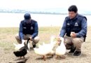 Parque Metropolitano de León recibe premio “Amigos del Planeta” por conservación de aves acuáticas.