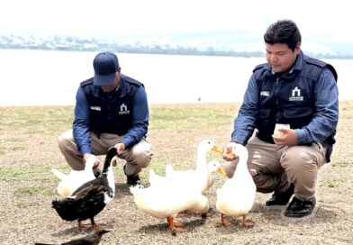 Parque Metropolitano de León recibe premio “Amigos del Planeta” por conservación de aves acuáticas.