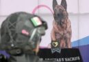 Rinden homenaje a Coyote, ejemplar canino que destacó como miembro de la policía de Silao.