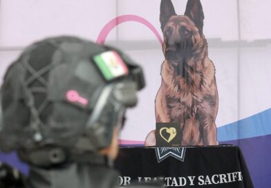 Rinden homenaje a Coyote, ejemplar canino que destacó como miembro de la policía de Silao.