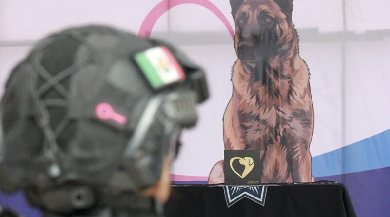Rinden homenaje a Coyote, ejemplar canino que destacó como miembro de la policía de Silao.