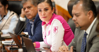 Tras la renuncia de Aldo Márquez, Alejandra Gutiérrez asegura que se vive una crisis al interior del PAN.