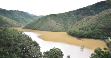 Las lluvias de la temporada han permitido la recuperación de las presas más importantes del estado.