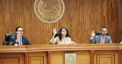 TEEG ordena al IEEG a modificar convocatoria para garantizar la pertenencia a la población indígena en selección de consejeros distritales y municipales.