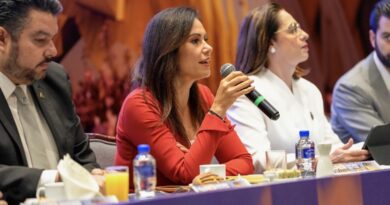 Con 380 expositores y más de 2 mil marcas se llevará a cabo próxima edición de SAPICA. Alejandra Gutiérrez presenta el evento en CDMX.