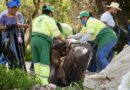 Limpian SAPAL y SIAP más de 170 kilómetros de arroyos y retiran 7 mil 700 toneladas de basura.