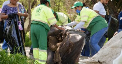 Limpian SAPAL y SIAP más de 170 kilómetros de arroyos y retiran 7 mil 700 toneladas de basura.