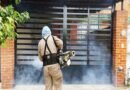 Secretaría de Salud reporta reducción en Guanajuato de 77 por ciento en casos de dengue.