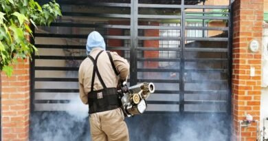 Secretaría de Salud reporta reducción en Guanajuato de 77 por ciento en casos de dengue.