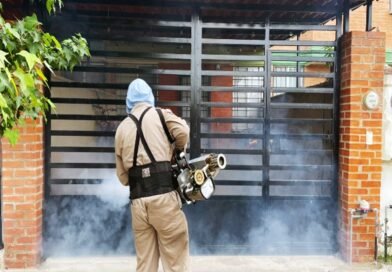 Secretaría de Salud reporta reducción en Guanajuato de 77 por ciento en casos de dengue.