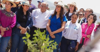 Con la presencia de la gobernadora, Guanajuato sé sumó, desde San Felipe, a la Jornada Nacional de Reforestación.