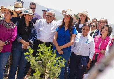 Con la presencia de la gobernadora, Guanajuato sé sumó, desde San Felipe, a la Jornada Nacional de Reforestación.
