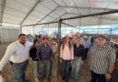 Gobierno de Silao entrega sementales para impulsar el mejoramiento genético del hato ganadero.
