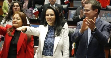 Cristina Rodríguez Vallejo rinde protesta como senadora del PAN.