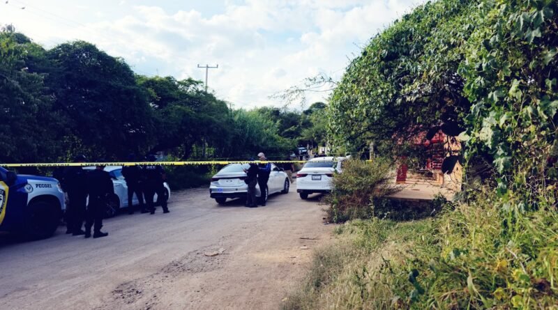 Tres elementos de la policía estatal de Guanajuato, entre ellos una mujer, mueren tras ataque armado en Comonfort.
