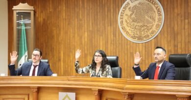 TEEG deja sin efecto imposición del IEEG de reservar candidaturas sólo para mujeres en 13 municipios.